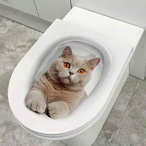 EH[XebJ[ \邾 h h hJr 3D  L 킢 LN^[ gC oX[ CN fR[V PVC