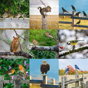 K[fsbN ACA }  JX X VGbg _fUC 뉀  IuWF  K[fjO G O fR[V