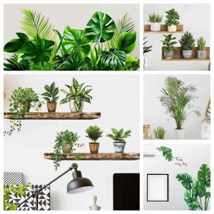 EH[XebJ[ ǃV[ h h  B ډB Vv  {^jJ A  킢 Aj} rO Q q  CeA DIY PVC fR[V(x2)