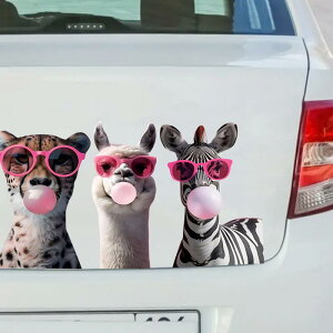 EH[XebJ[ h h hJr \Ă͂ PVC 킢 sN V{ V}E} qE ApJ KX   ԗp V[(x2)