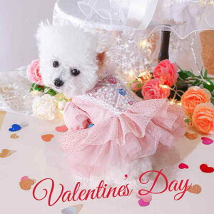 ybgps[X  L o^C Cxg LO  n[g XpR[ ؂₩ |GXe JWA EFfBOhX