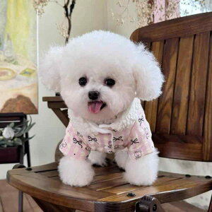  ^ ^ H~ g h ۉ N ȓ n[lXΉ   lp[X Ȃ I[C JWA hbOEFA |GXe