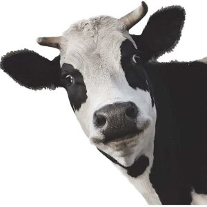 EH[XebJ[ h  킢Aj} ܂G L EV  Ǘp fR[VV[ rO q  Xܗp PVCf