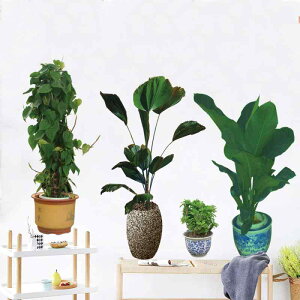 EH[XebJ[  h PVC h~ ϗtA |gX O[[t A _ Vv rO Q \t@wi  _CjO  ItBX X 