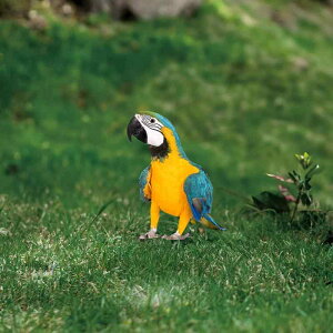 K[fsbN NX}X IE   AN  뉀 O   I[ig nݎ  킢 CeA fR[V(x2)