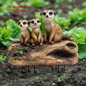 K[fsbN ~[ALbg eq AN Op h y K[fjO 뉀 Jg[ IuWF  Ő eX fR[V(x2)