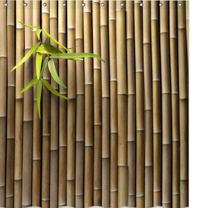 V[J[e h 􂦂 tbNt a TeCXg | i`fUC  |GXe oX[ CeA _ Vv