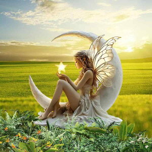 K[fsbN  d tFA[ t 2D AN A Ԓd  A  I[ig Jg[ (x2)