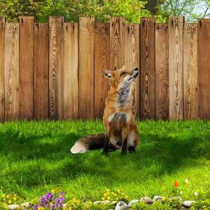 K[fsbN 킢 Lcl AN OΉ  K[fjO Ő _  IuWF v[g nʍݎ(x2)