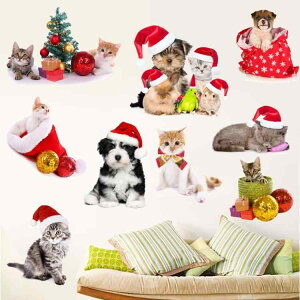 EH[XebJ[ h A L Ck NX}X KX  Ǘp 킢  V[EBhE rO Xܗp CeA fR[V V[