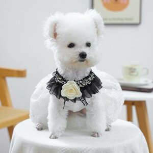 ybgp Lp ^ q 킢  }`bN ubNV[X[ |GXe I[V[Y t[TCY U t@bV ANZT[