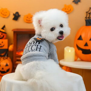 ybg  L p H~ nEB 킢 ^ ^L JWA  |GXe p[J[   RXv Cxg U o ʐ^Be SNSf 