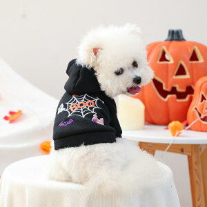 ybgEFA  Lp nEB  N̑ p[J[ g[i[ 킢 H~ |GXef JWA ^ ^ jZbNX