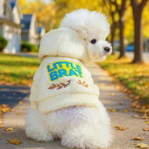 ybgEFA ^ q ۉ  K jp H~ hbOEFA LbgEFA XEFbg p[J[ |GXef