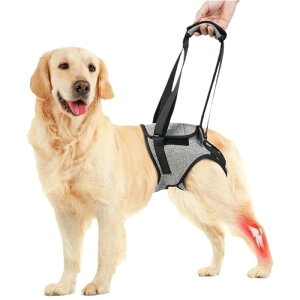 犬用ハーネス 老犬 介護 歩行補助 後ろ足 サポート 負傷犬 リハビリ 介助ベルト 伸縮性 ポリエステル グレー S M L XL