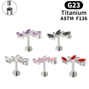 bvsAX jZbNX G23`^ AM[Ή }[LXJbg WRjA 3A tbgobN p ԗp {fBANZT[ a v[g