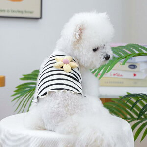  ^p  ʋCQ  t ԕ xXg m[X[u |GXe hbOEFA U o 킢  