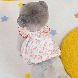 s[X ėp    L ^ gCv[h |jA rVt[[ t ԕ t[c |GXe JWA U m hX