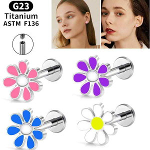 {fBsAX Y fB[X G23`^ fCW[`[t  sAX  bvsAX sAX 킢 XEB[g  jp