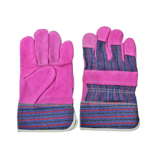 nڎ Y h ϔM fM ϖ  XG[h{v Ɨp یO[u nڍ H Sی ϋv