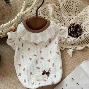  L ^ t  킢 ԕ ؍ ێ ܕ TVc |GXe gCv[h rVt[[ [NV[eA U o