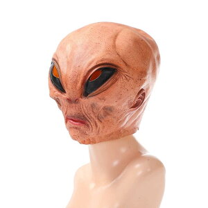 }XN z[ ebNX M GCA Ԃ nEB RXv ϑObY C[X^[ J[jo GCvt[  