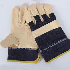 nڗp Y Ɨp {v ϔM fM V[g \tg ϖ Ώh~ ϋv dn S ی