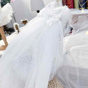  ^ ^p jp EFfBOx[ p[ {  p[eB[ Cxg ʐ^Be LO  킢 hXAbv  |GXef t[TCY