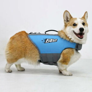 p CtWPbg XCEFA S  ߉\ |GXe ^ ^ ^ gCv[h S[f t`uhbO j V v[ C  AEghA g[j