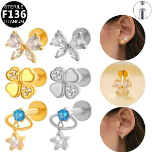 {fBsAX jZbNX G23 F136 `^ C^[iXbh  O  AM[Ή ςȂOK ĕ 􉽊wfUC 