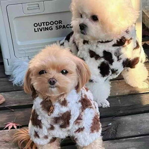  ~p h g ^ ^ ViEU[ efB rVt[[ 킢 N} tFCNt@[ WPbg ubNuE CguE