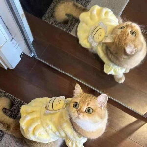 ybgEFA ^ Lp ~co` d˒ tFCNc[s[X t[X  h gCv[h rVt[[ }`[Y ` |jA m JWA H~