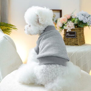 ybgEFA p Lp btn xXg  Rbg O[ JWA 킢 U  i tďH~ jZbNX jp