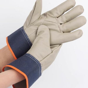 nڗp Y ϔM ϖՐ {v v fM  nڍH Ɨp vdl hCo[ ^ ז \tg ی O[u