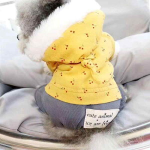  q c ^p |jA rVt[[ ViEU[ gCv[h 킢  H~ lr^Cv U o sN CG[ |GXe