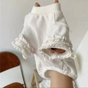 ybgEFA H ؍ \tg h[J[ t TVc Jbg\[  L Ci[ d˒ ^ ueBbVV[gwA zCg |GXe