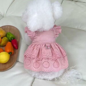 ybgEFA t [X t [htbN  |GXe ^p o U vZXhX s[X sN u[ gCv[h rVt[[  L