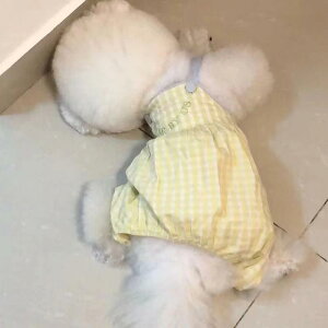  Tybg ^p efB ViEU[ rV t[[  킢 JWA I[o[I[ U o  i y |GXef