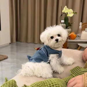  ^p n[lXΉ g fj xXg m[X[u   jZbNX |GXef