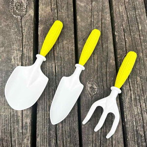 Vx LbY qp j̎q ̎q 킢 ،^ F 3_Zbg V  K[fjO ƒ؉ r[`  OV 