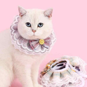 ybgpo_i  Lp JK lN^C [X  J[ X^C I[V[Y  |GXe XgCv sN Cgu[ [Ybh x_[ J[L ^ ^ 