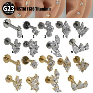 OsAX ubg jp G23 F136`^ lW {fBsAX Vv dCbLH ܗ }[LXt[ WRjA Ђ` [t XNGA fUC(x2)