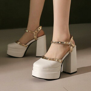 T_ fB[X pvXgD X^bY t  Xg[ q[ nCq[ ANXgbv XNGAgD PUU[ GKg i JWA