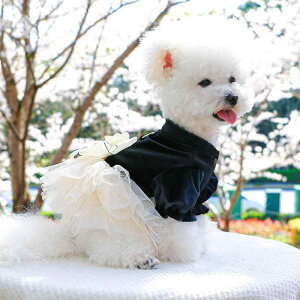 hbOEFA q ^ ^p t ӂӂ `[XJ[g EFfBOhX |GXef JWA LO o p[eB[ a RX`[