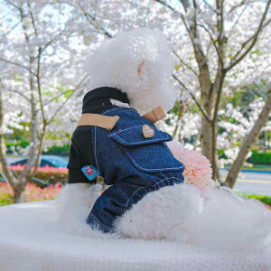  ^p n[lX̌^ pN Tybg I[C ubN |GXe t U o i JWA