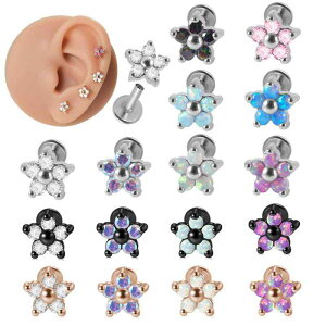 {fBsAX jp jZbNX T[WJXeX dCbL tbgobN C^[ilW 5 WRjA Ip[Xg[ t[`[t ܗ ubg s