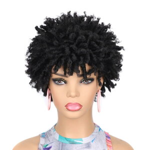 EBbO fB[X hbhwA V[gJ[ J[ }VCh ϔMt@Co[ lH O\ RȔ 