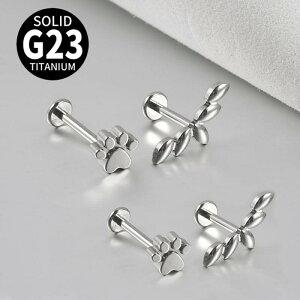 sAX jZbNX G23`^ lW bvsAX sAX wbNX gKX sAX  킢 ̑  I[u̗t`[t(x2)