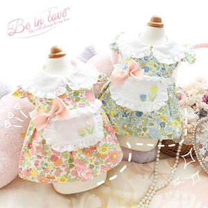 ps[X t hbOEFA ȑf 킢 vZX ԕ ^ }`[Y gCv[h [NV[eA rVt[[