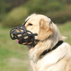 p}Y ݂h~ ʖih~ EHh~ \tg y ˍޕt ^ ^ S[fgo[ R[M[ 